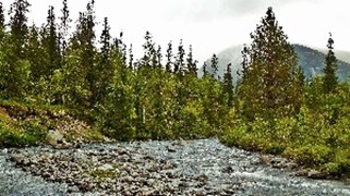 Река Малая Белая