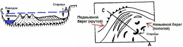 Формирование прирусловых валов в разных участках берега равнинной реки с извилистым руслом 2